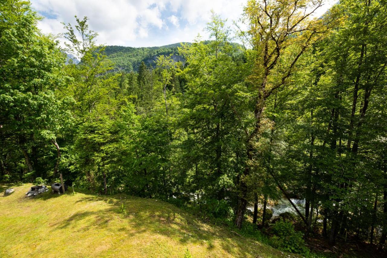 Cottages Kravanja Trenta Exterior photo