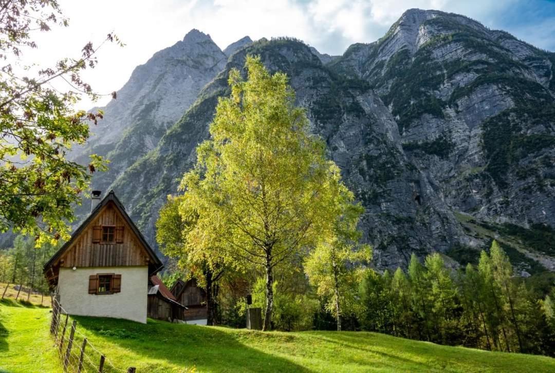 Cottages Kravanja Trenta Exterior photo